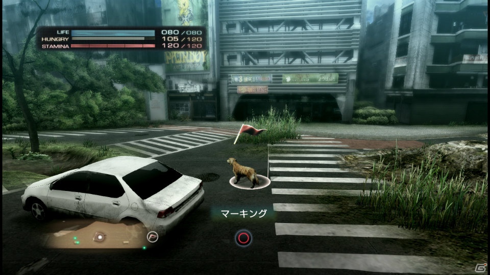 【サマゲー2012】PS3「TOKYO JUNGLE」人類が姿を消した東京で生き抜くサバイバルアクションを紹介！ポメだってテリアだってヒヨコだって凶暴なんだゾ！の画像78