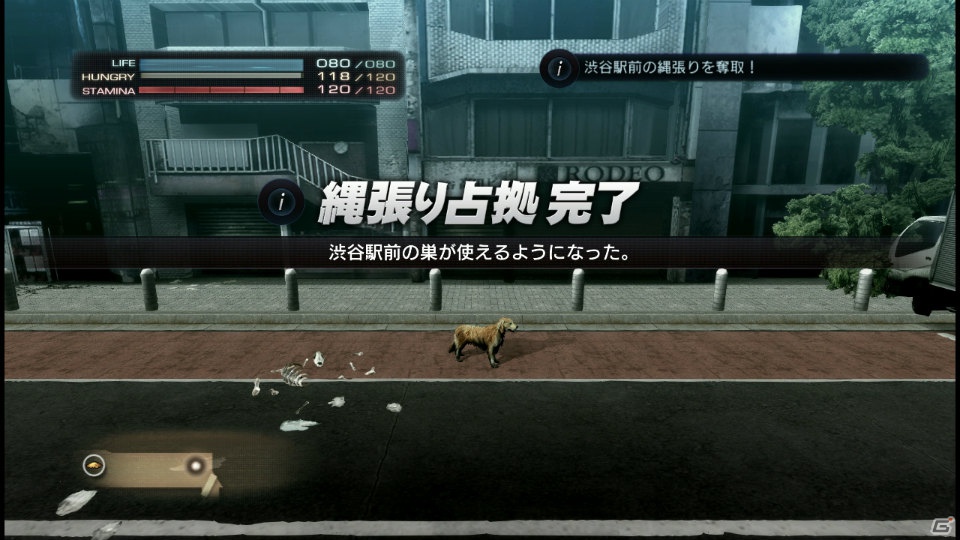 【サマゲー2012】PS3「TOKYO JUNGLE」人類が姿を消した東京で生き抜くサバイバルアクションを紹介！ポメだってテリアだってヒヨコだって凶暴なんだゾ！の画像80