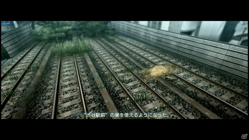 【サマゲー2012】PS3「TOKYO JUNGLE」人類が姿を消した東京で生き抜くサバイバルアクションを紹介！ポメだってテリアだってヒヨコだって凶暴なんだゾ！の画像81