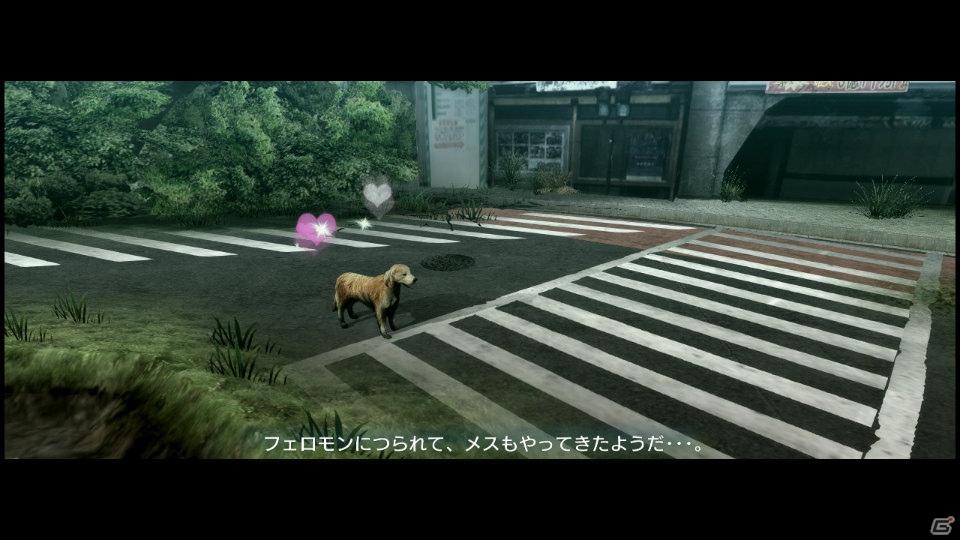 【サマゲー2012】PS3「TOKYO JUNGLE」人類が姿を消した東京で生き抜くサバイバルアクションを紹介！ポメだってテリアだってヒヨコだって凶暴なんだゾ！の画像82