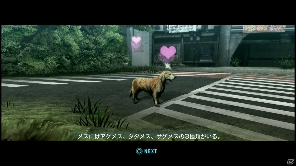 【サマゲー2012】PS3「TOKYO JUNGLE」人類が姿を消した東京で生き抜くサバイバルアクションを紹介！ポメだってテリアだってヒヨコだって凶暴なんだゾ！の画像84