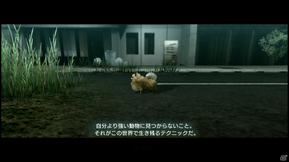 【サマゲー2012】PS3「TOKYO JUNGLE」人類が姿を消した東京で生き抜くサバイバルアクションを紹介！ポメだってテリアだってヒヨコだって凶暴なんだゾ！の画像9