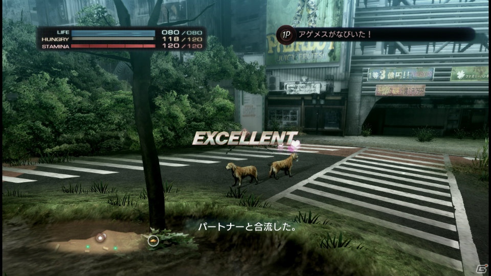 【サマゲー2012】PS3「TOKYO JUNGLE」人類が姿を消した東京で生き抜くサバイバルアクションを紹介！ポメだってテリアだってヒヨコだって凶暴なんだゾ！の画像90