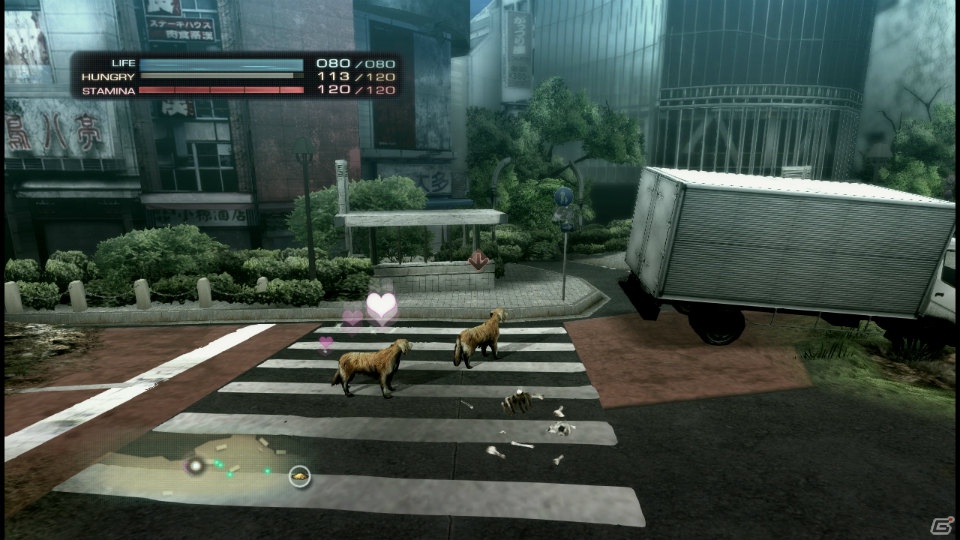 【サマゲー2012】PS3「TOKYO JUNGLE」人類が姿を消した東京で生き抜くサバイバルアクションを紹介！ポメだってテリアだってヒヨコだって凶暴なんだゾ！の画像91