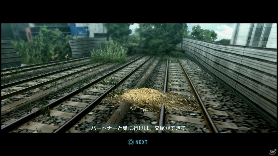【サマゲー2012】PS3「TOKYO JUNGLE」人類が姿を消した東京で生き抜くサバイバルアクションを紹介！ポメだってテリアだってヒヨコだって凶暴なんだゾ！の画像92