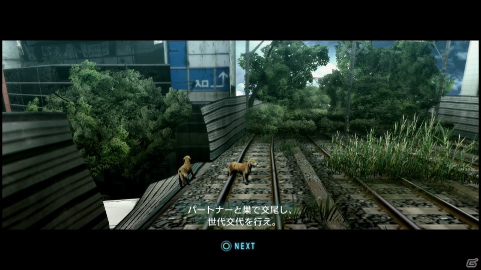 【サマゲー2012】PS3「TOKYO JUNGLE」人類が姿を消した東京で生き抜くサバイバルアクションを紹介！ポメだってテリアだってヒヨコだって凶暴なんだゾ！の画像93