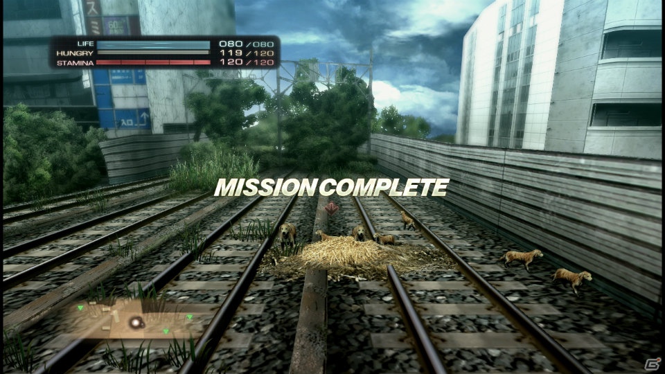 【サマゲー2012】PS3「TOKYO JUNGLE」人類が姿を消した東京で生き抜くサバイバルアクションを紹介！ポメだってテリアだってヒヨコだって凶暴なんだゾ！の画像96