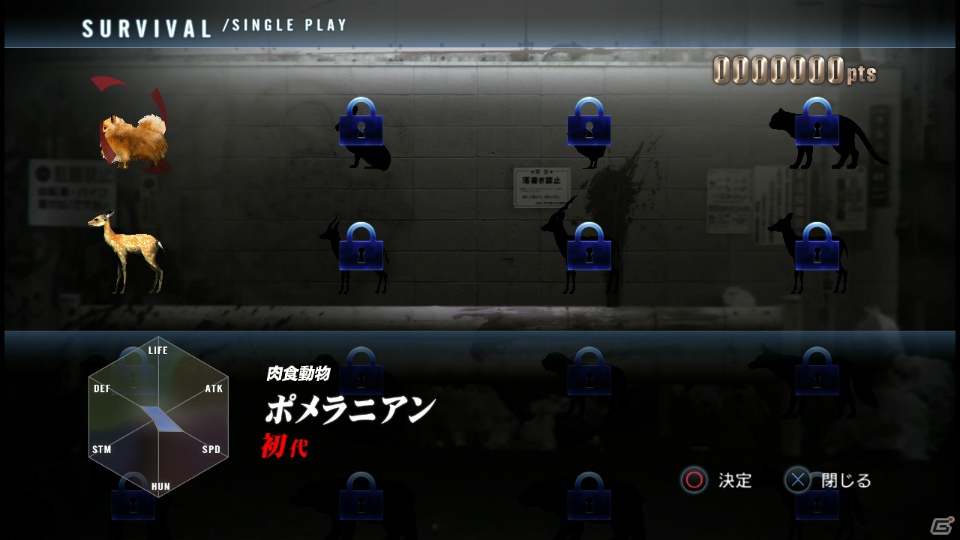【サマゲー2012】PS3「TOKYO JUNGLE」人類が姿を消した東京で生き抜くサバイバルアクションを紹介！ポメだってテリアだってヒヨコだって凶暴なんだゾ！の画像99