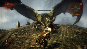 王殺しの濡れ衣を着せられた孤独な戦士の物語―Xbox 360「ウィッチャー2」ゲーム内容をまとめてチェック！の画像30