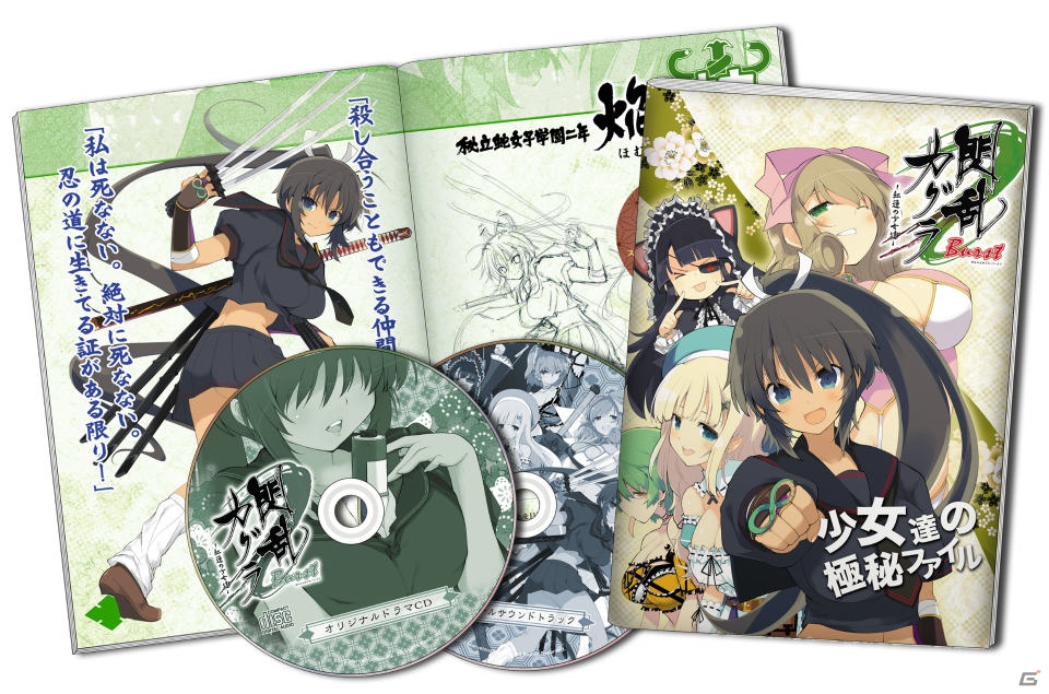 爆乳への想いを感じてみな。3DS『閃乱カグラ Burst -紅蓮の少女達-』爆乳プロデューサー・高木謙一郎氏へインタビューを敢行！の画像15