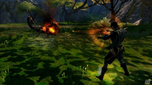 PS3/Xbox 360「キングダムズ オブ アマラー：レコニング」冒険の舞台となる世界・フェイランドやバトルアクション、生産スキルを紹介の画像10