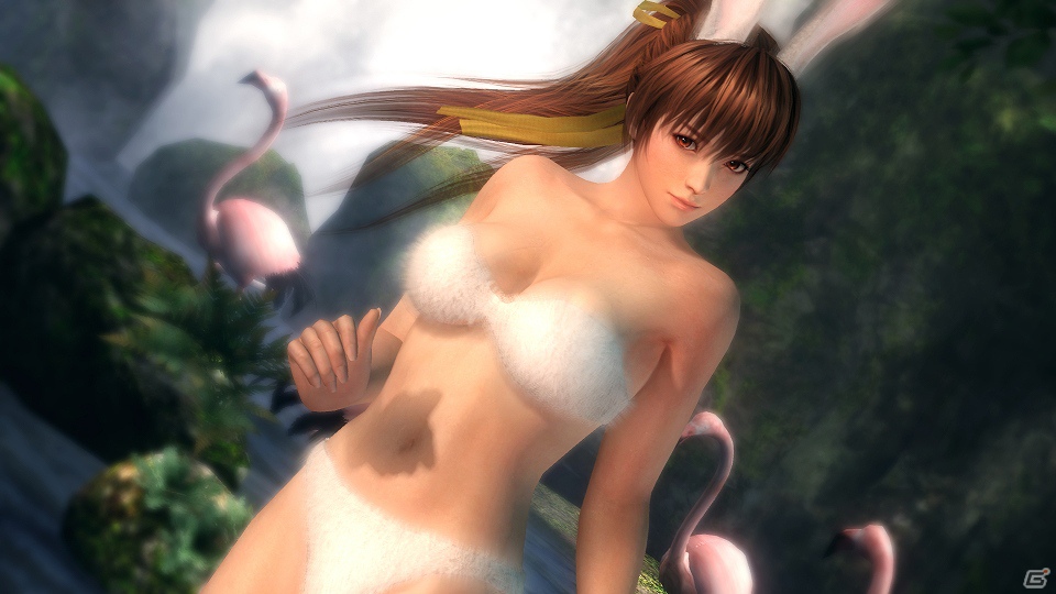「DEAD OR ALIVE 5」PS3ダウンロード版の販売が決定―期間限定でパッケージ版と同内容の特典を用意の画像4