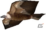 今度のターゲットは自由に大空を舞う「鳥」達だ！3DS「鷹狩王」公式サイト公開の画像52