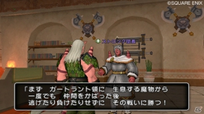 Wii「ドラゴンクエストX　目覚めし五つの種族　オンライン」新職業「レンジャー」「パラディン」が登場＆ハウジングが開放される10月の大型アップデート内容を紹介の画像5