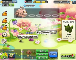 冒険×育成シミュレーション「アニマルパーティー」Yahoo！ Mobageでサービス開始の画像6