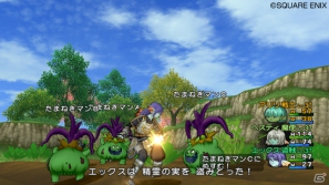 Wii「ドラゴンクエストX　目覚めし五つの種族　オンライン」レンジャーとパラディンになるための転職クエストを紹介の画像3