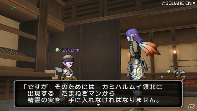 Wii「ドラゴンクエストX　目覚めし五つの種族　オンライン」レンジャーとパラディンになるための転職クエストを紹介の画像2