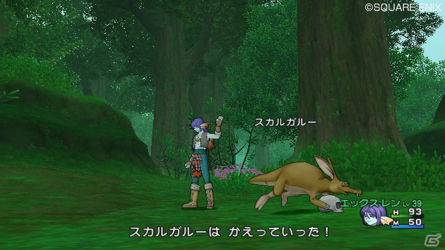 Wii「ドラゴンクエストX　目覚めし五つの種族　オンライン」新職業のパラディンとレンジャーで受けられる追加クエストを紹介！の画像6