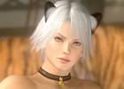 PS3/Xbox 360「DEAD OR ALIVE 5」DLC「猫耳パック」「コスプレパック」「スペシャルパック」配信開始＆PSNカードプレゼントキャンペーン実施
