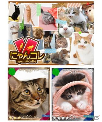 iOS/Android「にゃんコレ」犬猫に特化した写真素材販売サイト「WAN・NYANストックフォト」の猫写真を採用の画像1