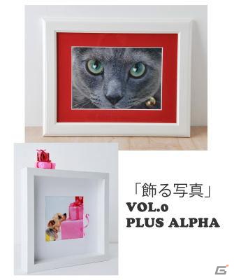 iOS/Android「にゃんコレ」犬猫に特化した写真素材販売サイト「WAN・NYANストックフォト」の猫写真を採用の画像2