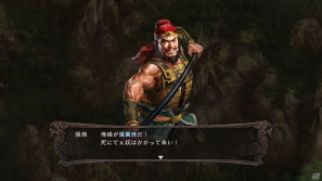 PS3/Wii U「三國志12」戦闘の流れや戦略に関する最新情報を公開！PS3ダウンロード版の発売が12月13日に決定の画像11