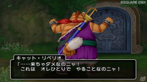 リベリオが決死の覚悟で挑む相手とは…？Wii「ドラゴンクエストX　目覚めし五つの種族　オンライン」猫に関わる連続クエスト3話＆4話を紹介の画像7