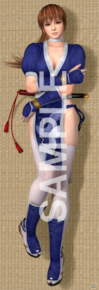5人の人気キャラクターが抱き枕に！「DEAD OR ALIVE 5 抱き枕カバー」の予約受付を本日12月11日より開始の画像3