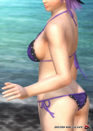 PS Vita「DEAD OR ALIVE 5 PLUS」初回封入特典決定！コレクターズエディションも同時発売の画像2