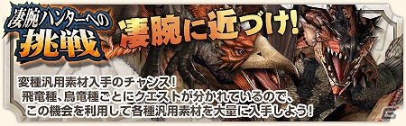 Xbox 360/PC「モンスターハンター フロンティア オンライン」年末年始は「MHF」を遊びつくそう！13大キャンペーン＆イベント「メゼポルタ迎春祭」開催の画像9