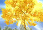 PS3/PC「大航海時代 Online 2nd Age」Chapter2「グリフォンの翼」最新情報第二弾！便利な新機能が続々登場