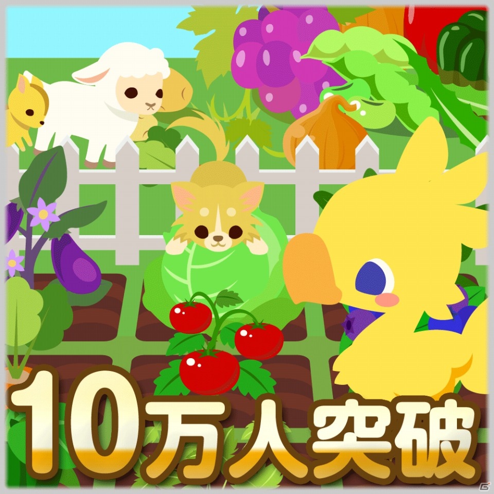 GREE「チョコボのチョコッと農園」登録ユーザー数10万人突破！記念キャンペーンを実施の画像1