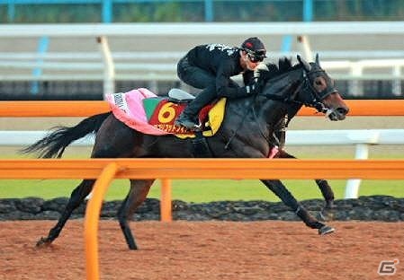iOS「ダービーオーナーズクラブ」小島良太調教助手プロデュースのイベント「『馬なりぃ』杯」が開催の画像5