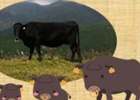 iPhone/Android「畑っぴ」黒毛和牛「豊後牛」の肉製品が自宅に届く「和牛育成」バージョンが登場