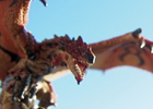 カプコンフィギュア「オレの私のVol.6 写真募集キャンペーン」「スタンダード限定フィギュアコンテスト」の募集期間が2週間延長