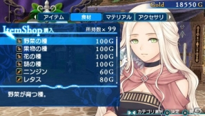 PSP「シャイニング・アーク」あらゆる魔法を使いこなすパニスの戦闘スタイルを紹介！クエストやアイテム購入に関連した情報もの画像21