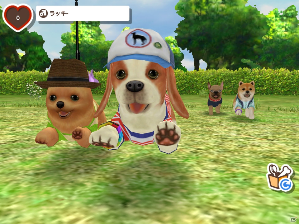 かわいい子犬との癒しの生活が楽しめるGREE「ともだちドッグス」のiOS版が配信開始の画像3