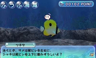 3DS「ARC STYLE：ハッピーオーシャン」配信開始―海で暮らす魚たちを見守る熱帯魚見守りシミュレーションゲームの画像3