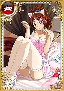 GREE/Mobage「一騎当千バーストファイト」ねこ耳を付けたセクシーな姿で登場！イベント「ねこ耳パラダイス」を開催の画像5