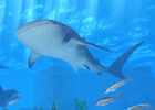 3Dグラフィックでリアルな海を再現―自分だけの海底世界を楽しめる「LINE EASY DIVER」LINE GAMEにてサービス開始