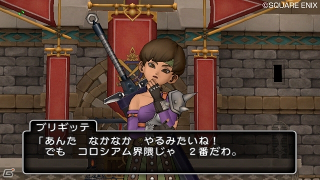 Wii「ドラゴンクエストX　目覚めし五つの種族　オンライン」新職業のクエストはまだまだ続く！バトルマスターと賢者の配信クエスト第3話＆4話を紹介の画像3