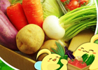 「ハッピーベジフル」ベジガーデン提供の「野菜セット」プレゼントキャンペーンが開催