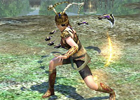 PS3/PC「真・三國無双 Online」第二弾「Revolution 13」実施！新武器の登場を記念した「龍牙鉤」祭りも開催