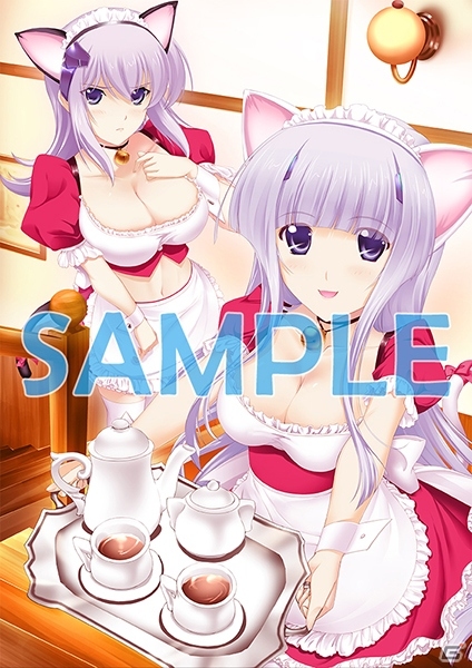 PS3/Xbox 360「マブラヴ オルタネイティヴ トータル・イクリプス」店舗特典イラストを公開！予約者を対象にした配布会も開催決定の画像3
