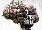 三上真司氏が手がけるPS3/Xbox 360/PC/その他次世代機向けの最新作「PsychoBreak」が2014年に発売決定！