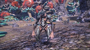 PC/PS3「ファイナルファンタジーXIV:新生エオルゼア」プロモーションサイトにて「モンスター」「蛮神/蛮族」の情報や新エリアの最新スクリーンショットを公開の画像25