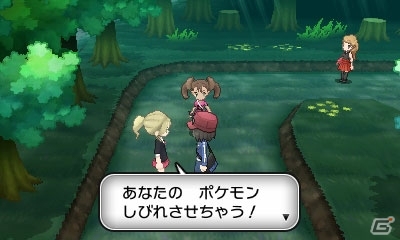 3DS「ポケットモンスター X・Y」プレイヤー自身となる主人公や冒険の舞台、初登場のポケモンを紹介！の画像30
