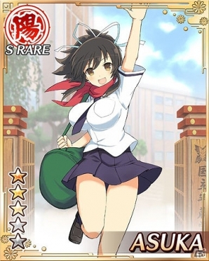 閃乱カグラ 死塾月閃女学館 水着 SR 5種セット アンリミテッドーヴァーサス 閃乱カグラ 死塾月閃女学館 水着 SR 5種セット アンリミテッドー