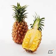 GREE/mixi「ちょこっとファーム」限定野菜が手に入るOisixとコラボレーションを実施の画像8