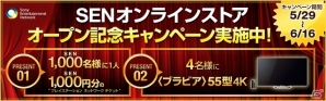 SCEJA、Sony Entertainment Network オンラインストアを5月29日にオープン！1,000円分のPSNチケットが当たる記念キャンペーンも開催の画像1